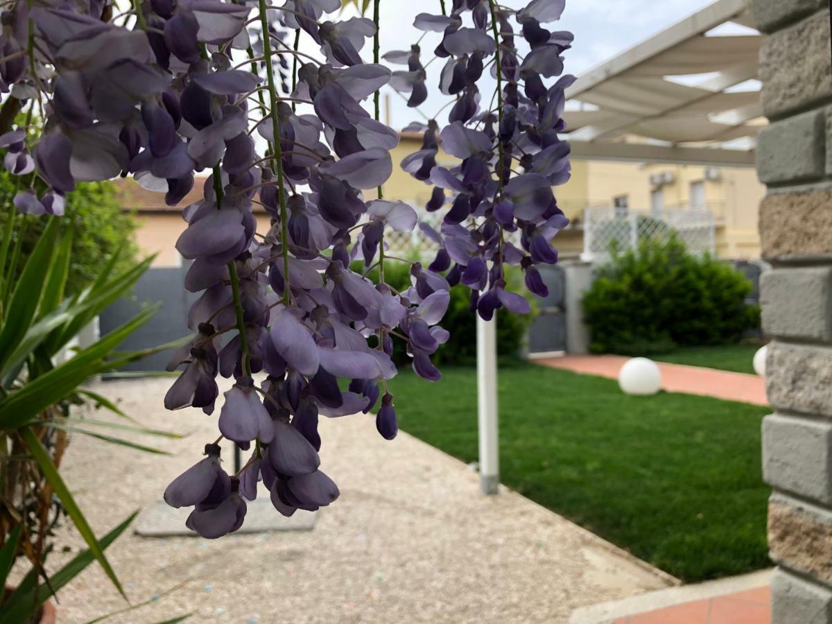 אולביה City Garden Guest House מראה חיצוני תמונה